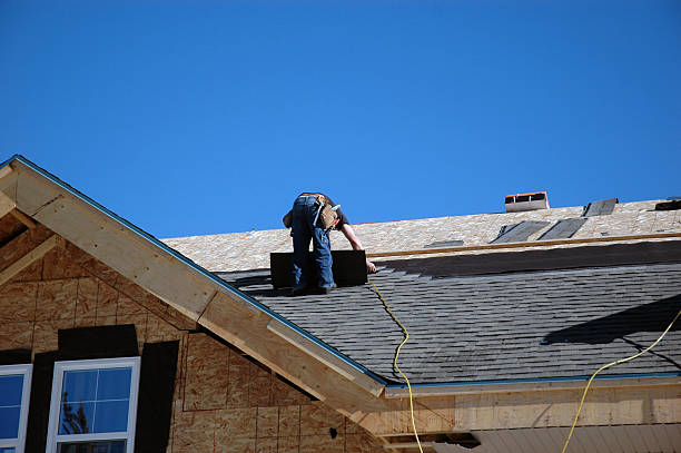 Best Roof Maintenance Services  in Pocono Woodland Lakes, PA
