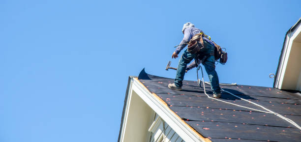 Best New Roof Installation  in Pocono Woodland Lakes, PA